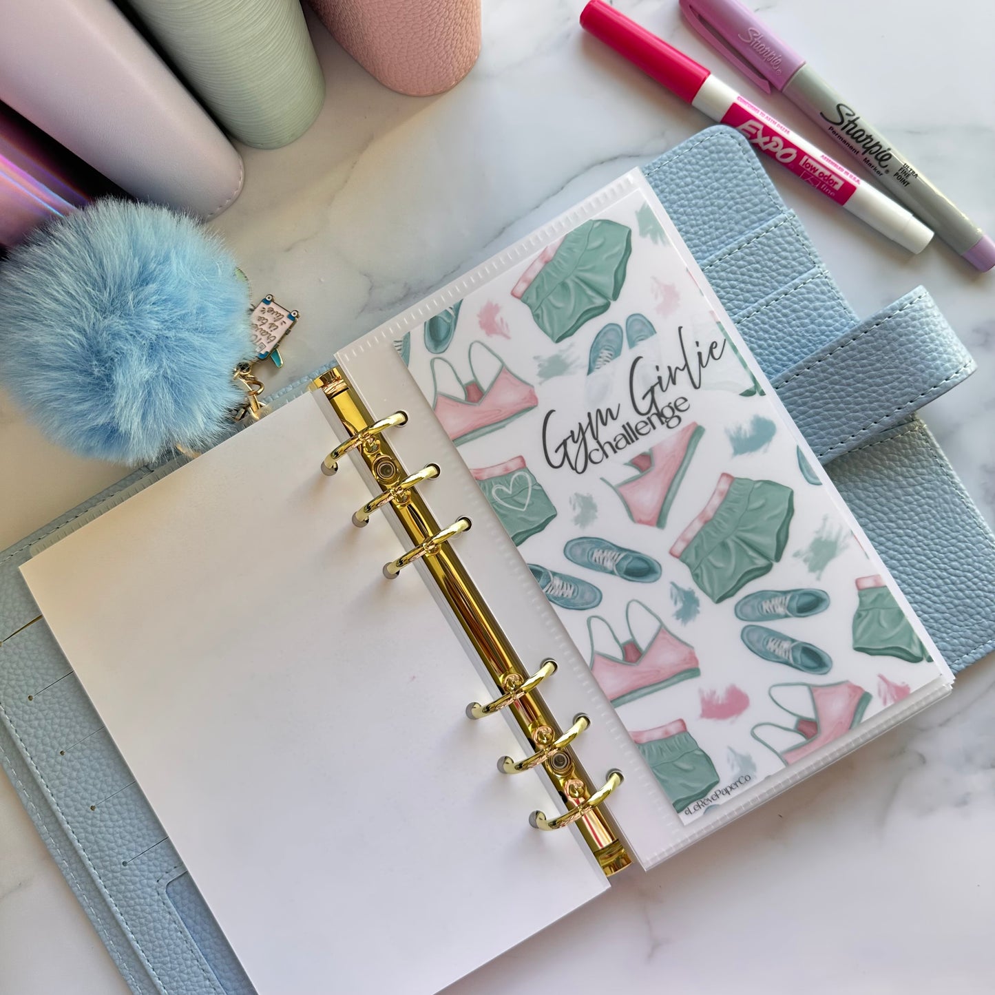 Gym Girlie Savings Challenge